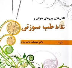 کانال های نیروهای حیاتی و نقاط طب سوزنی