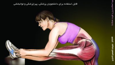 آناتومی حرکات کششی (راهنمای مصور برای بهبود انعطاف پذیری و تقویت عضلات)