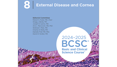 External Disease and Cornea 2024-2025 (BCSC 8)
