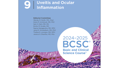Uveitis and Ocular Inflammation 2024-2025 (BCSC 9)