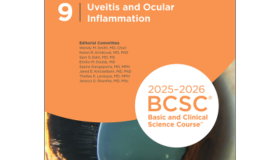 Uveitis and Ocular Inflammation 2025-2026 (BCSC 9)