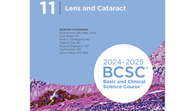 Lens and Cataract 2024-2025 (BCSC 11)